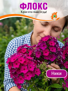 Флокс Ники Флокс Ники