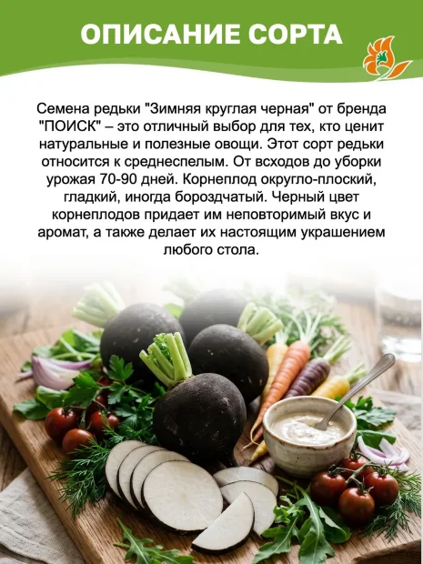Редька Зимняя Круглая чёрная семена 