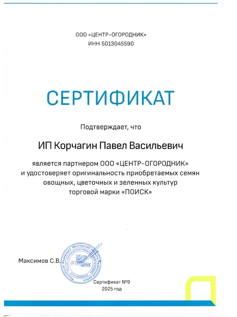 Редька Зимняя Круглая чёрная семена 