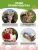 Георгин Ноэль (бахромчатый)