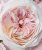 Роза Кейра 