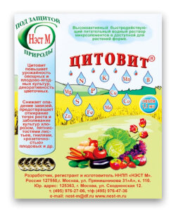 Цитовит Цитовит