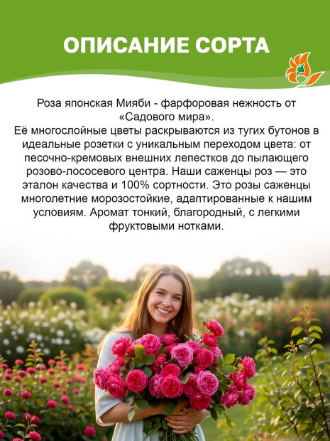 Роза Мияби (Принцесса Мияби)