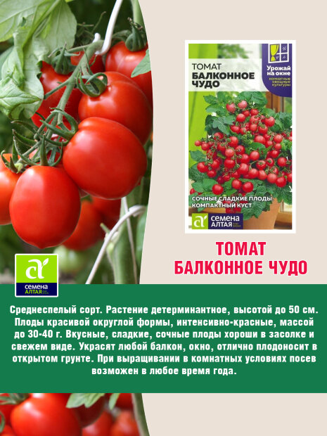 Томат Балконное Чудо семена 