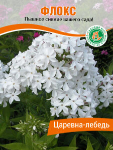Флокс Царевна-Лебедь Флокс Царевна-Лебедь