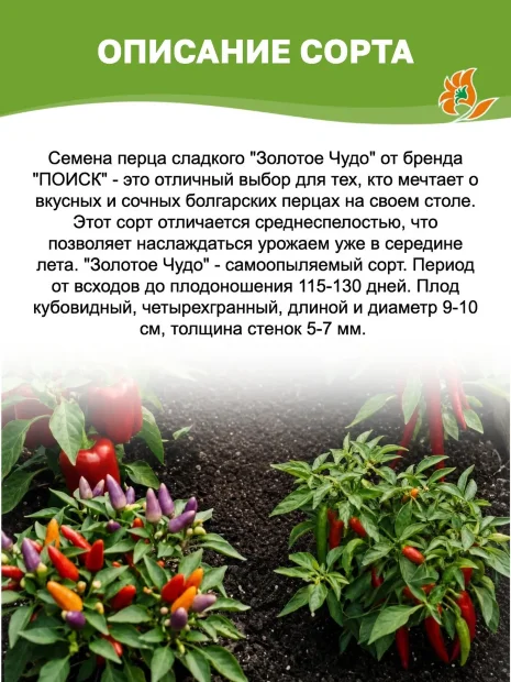 Перец сладкий Золотое Чудо семена 