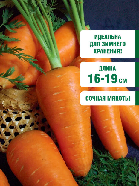Морковь Купец семена 