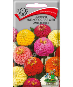 Цинния низкорослая Фея Смесь окрасок Цинния низкорослая Фея Смесь окрасок