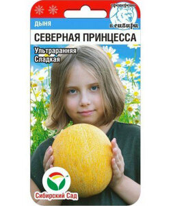 Дыня Северная Принцесса Дыня Северная Принцесса